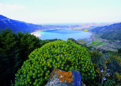 Cartoline Pantelleria